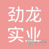 【未入驻】深圳市劲龙实业有限公司
